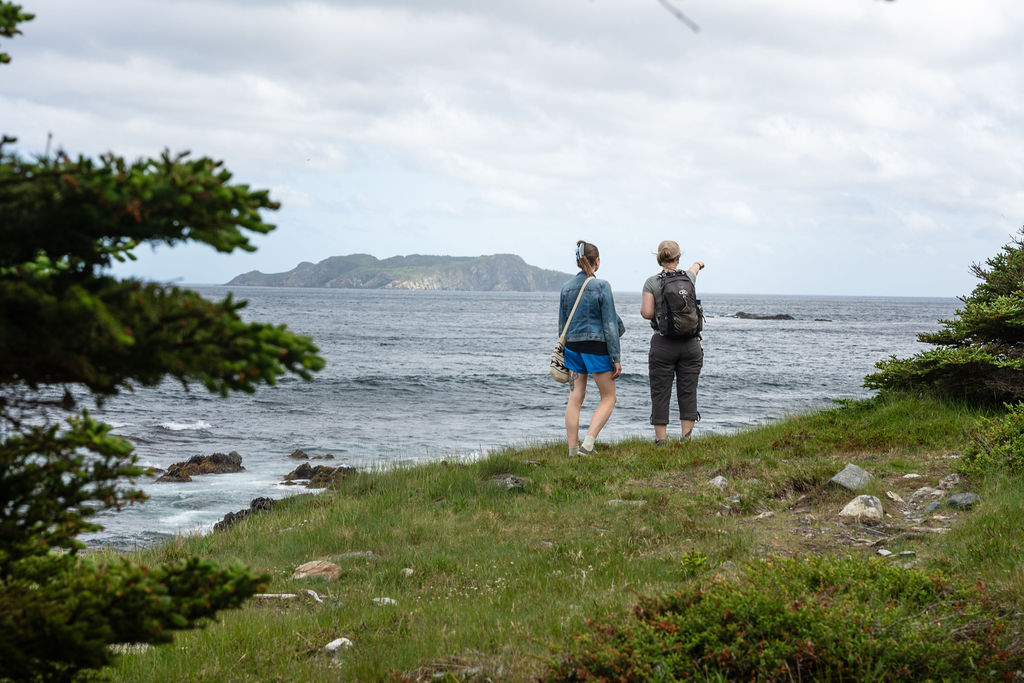Guests on a Wildera tour