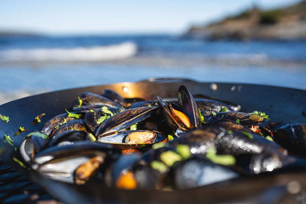 Foraging along the Irish Loop coast
